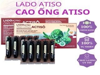 Ladoactiso Cao ống